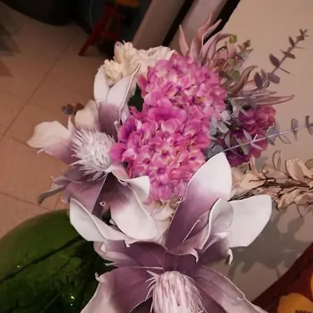 Parte Di Casa Nel Verde. *