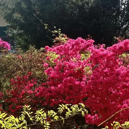 アパート Parte Di Casa Nel Verde. Borgo Ticino